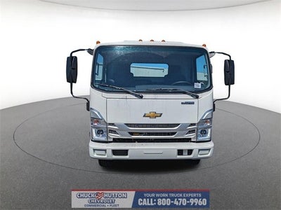 2024 Chevrolet Low Cab Forward 4500 1WT