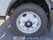 2024 Chevrolet Low Cab Forward 4500 1WT