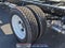 2024 Chevrolet Low Cab Forward 4500 NA