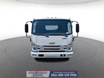2024 Chevrolet Low Cab Forward 4500 1WT