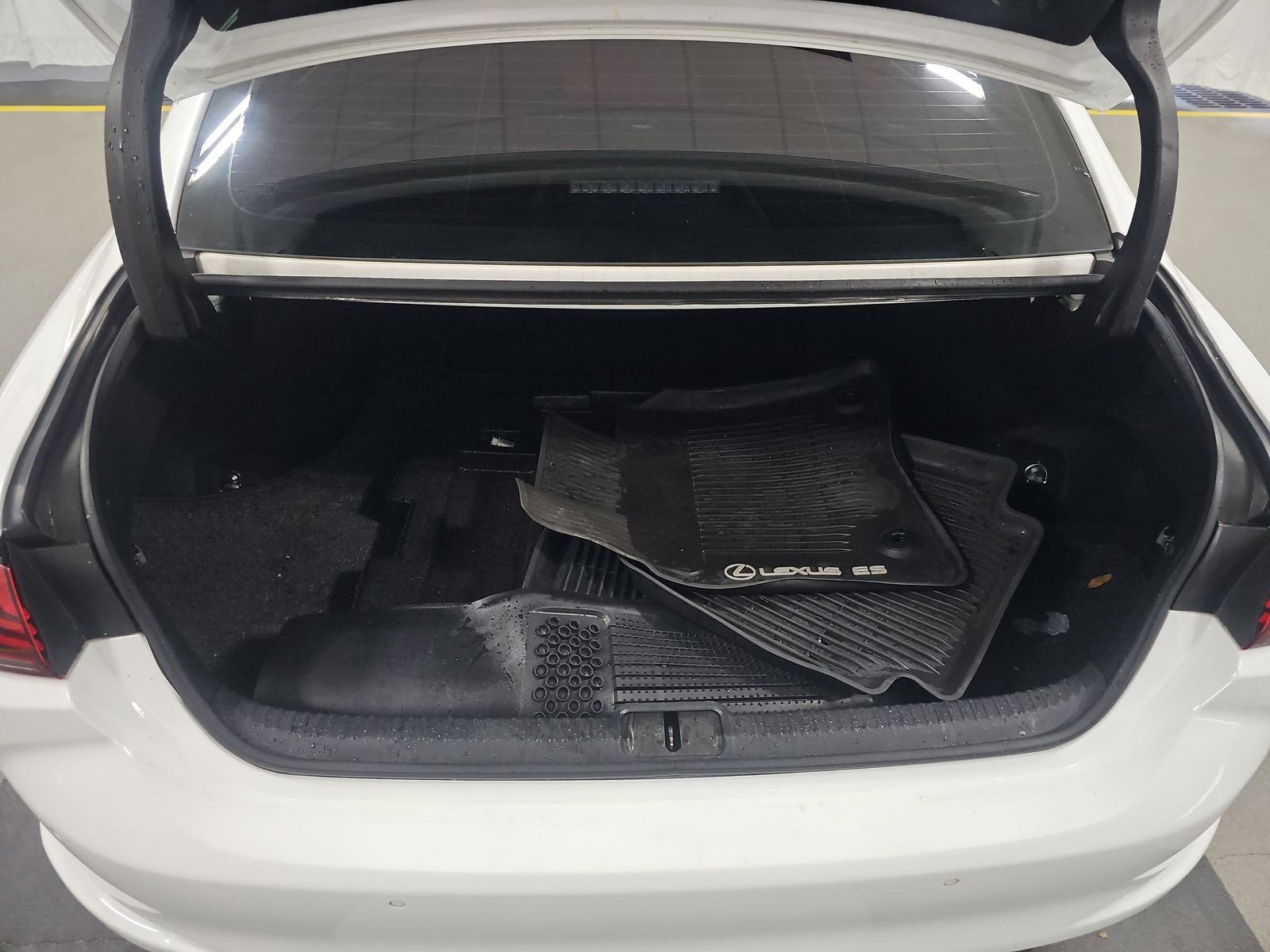 2019 Lexus ES 350 F SPORT