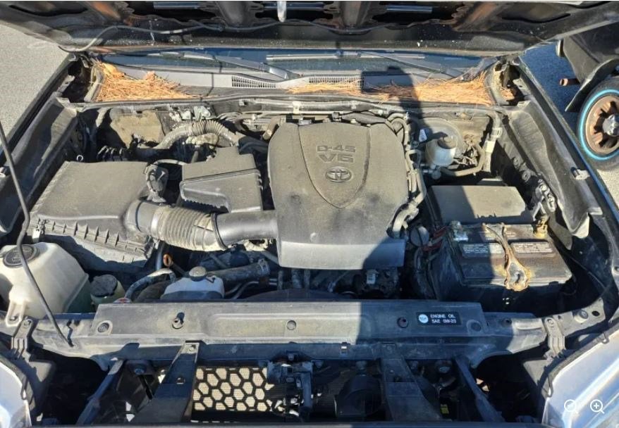 2019 Toyota Tacoma TRD Sport