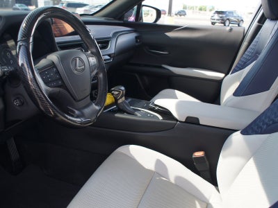 2019 Lexus UX 250h Luxury