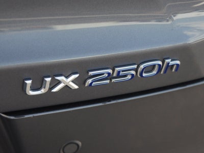 2019 Lexus UX 250h Luxury