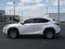 2019 Lexus NX 300 F SPORT