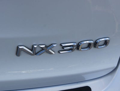 2019 Lexus NX 300 F SPORT