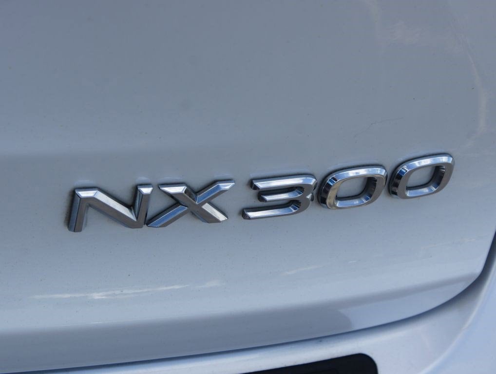 2019 Lexus NX 300 F SPORT