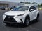 2019 Lexus NX 300 F SPORT