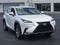 2019 Lexus NX 300 F SPORT