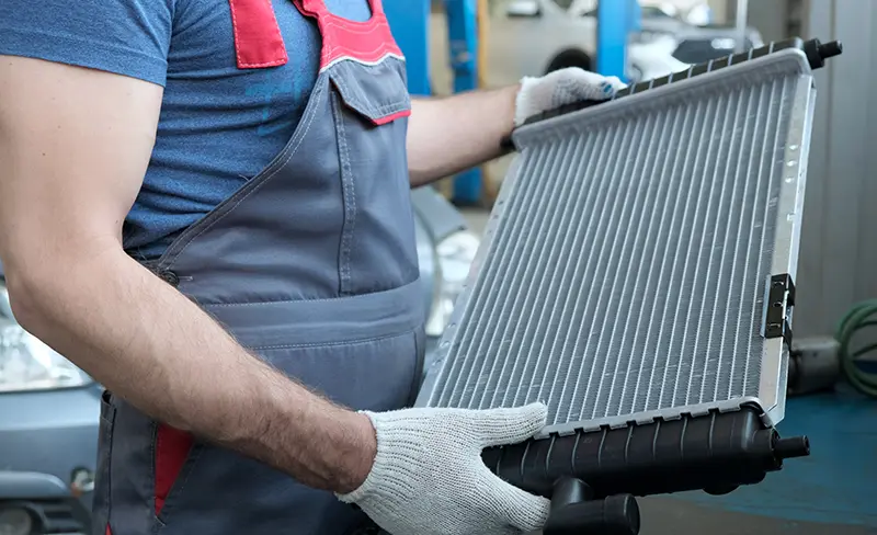 A person holding radiator